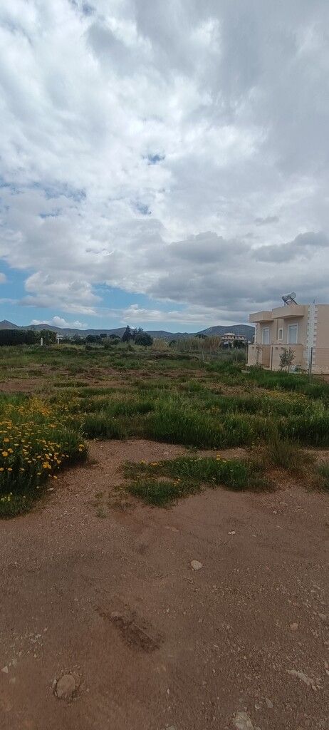 Terrain à Athènes, Grèce, 768 m² - image 5