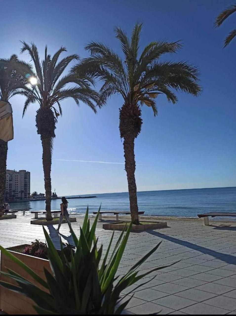 Appartamenti a Torrevieja, Spagna, 60 m² - foto 5