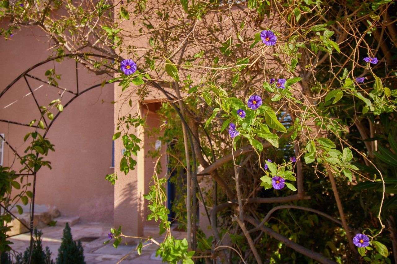 House in Paphos, Cyprus, 151 m² - picture 13