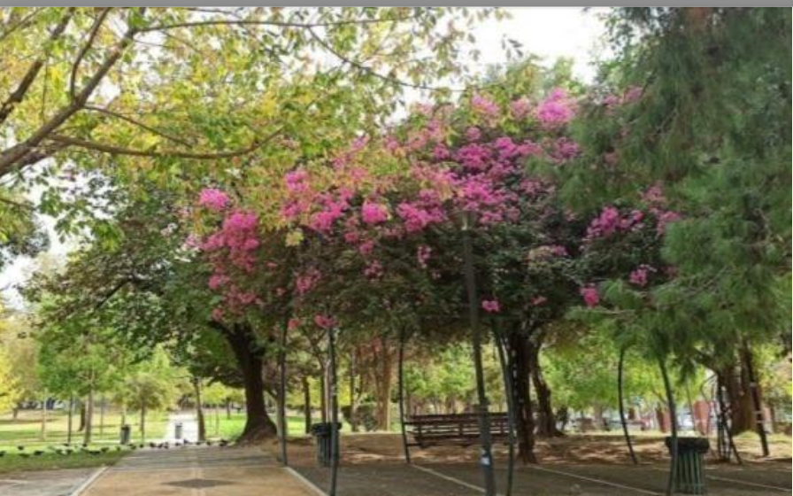 Apartment in Attika, Griechenland, 14.59 m² - Foto 2