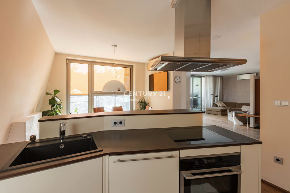 Flat in Ljubljana, Slovenia, 184.4 m² - picture 15