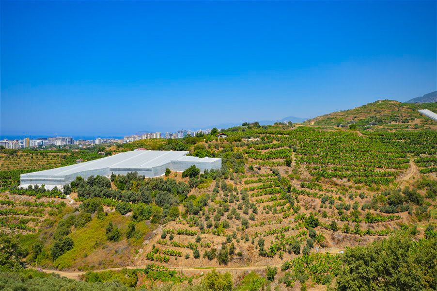 Villa en Alanya, Turquia, 350 m² - imagen 4