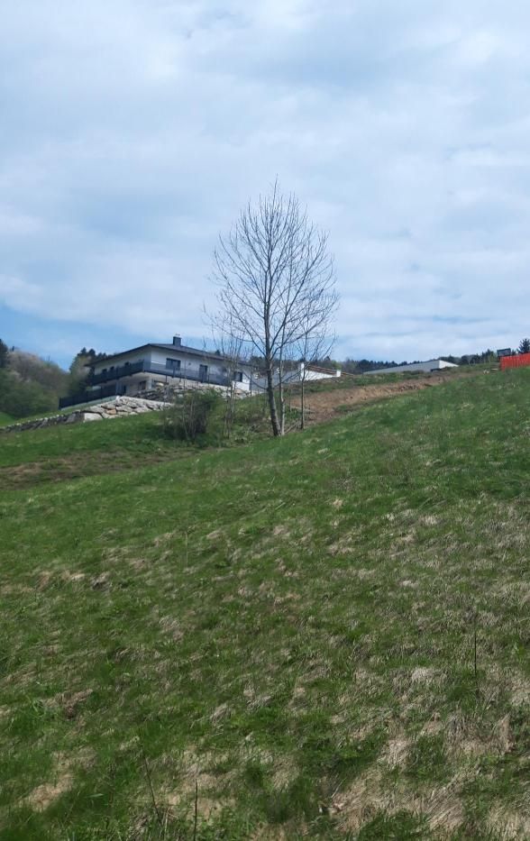 Terreno Waidhofen an der Ybbs, Austria, 990 m² - imagen 3