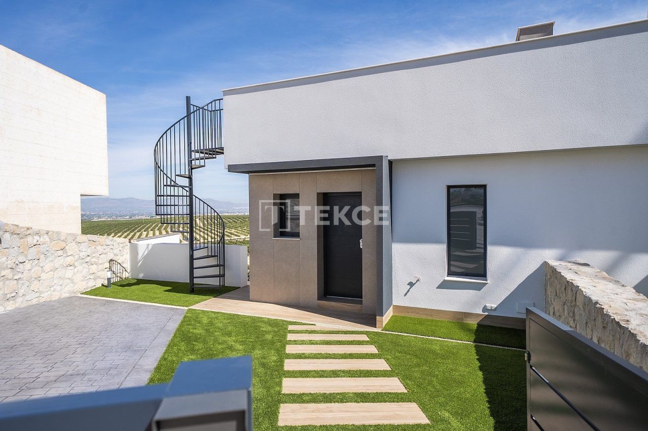 Villa in Algorfa, Spain, 436 m² - picture 11