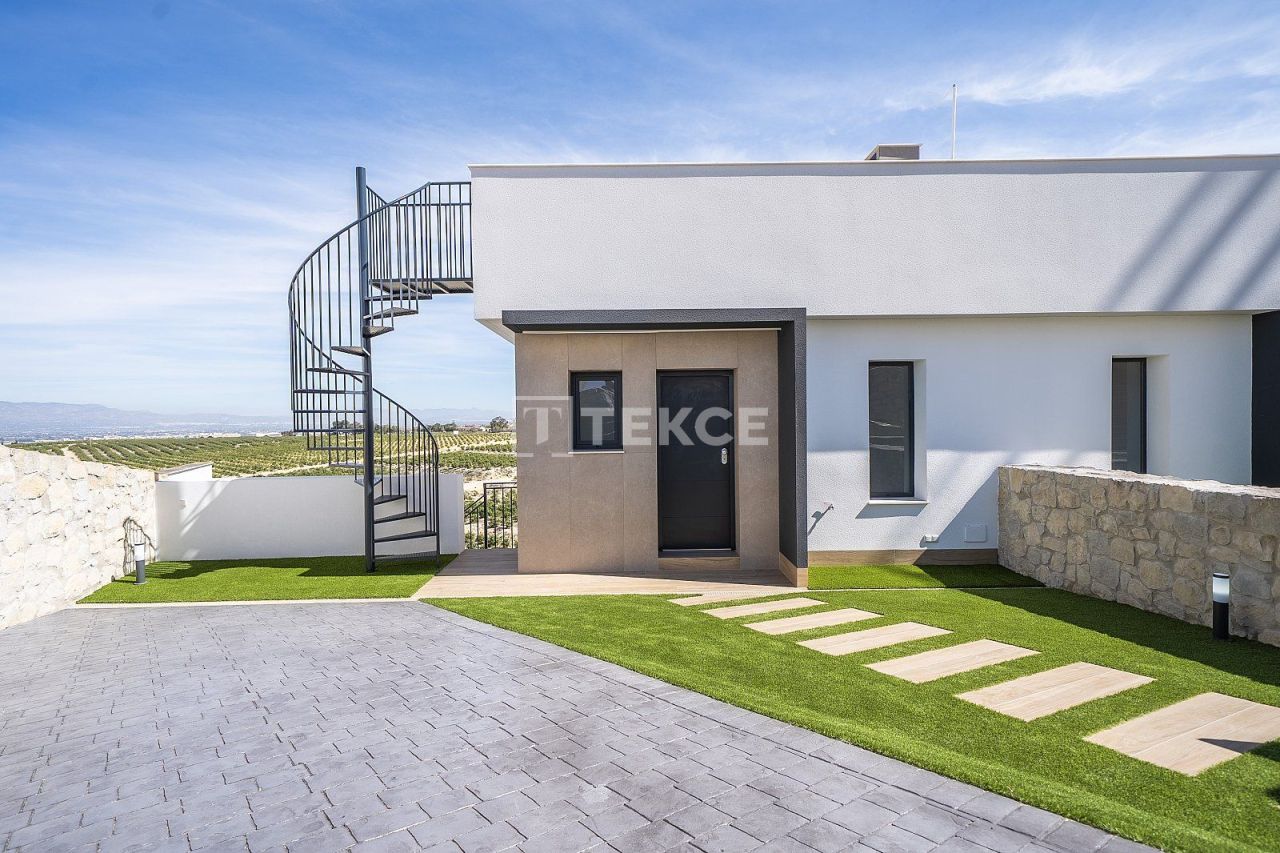 Villa in Algorfa, Spain, 436 m² - picture 12