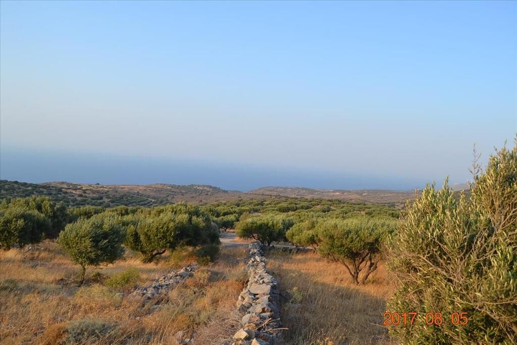 Land in Lasithi, Greece, 15 570 m² - picture 1
