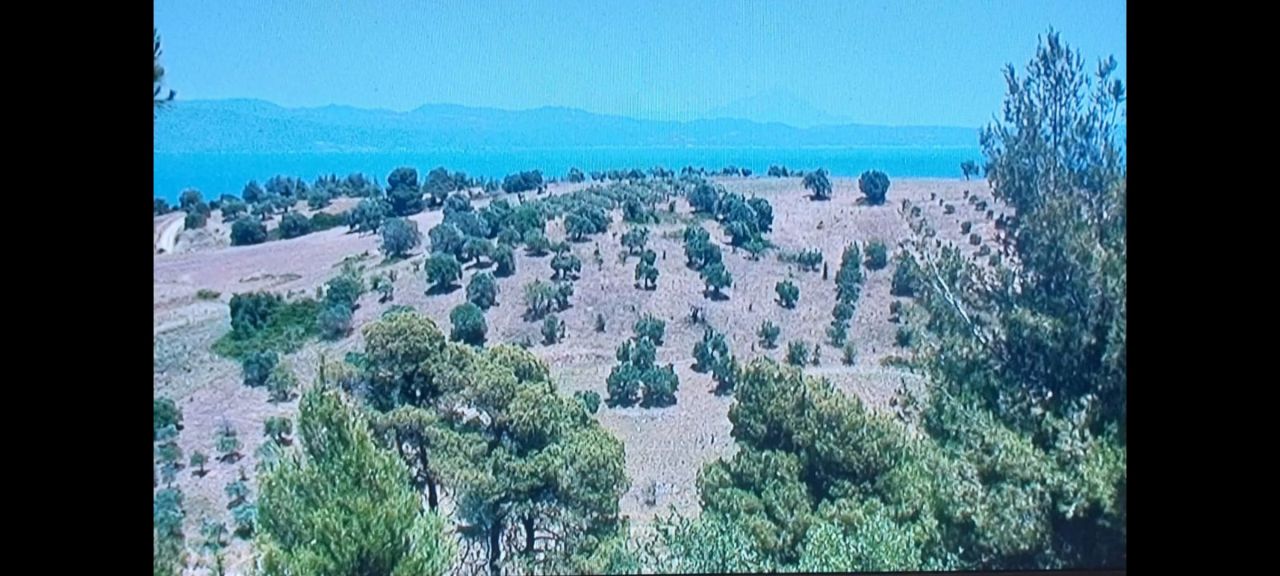 Land in Chalkidiki, Greece, 5 100 m² - picture 1