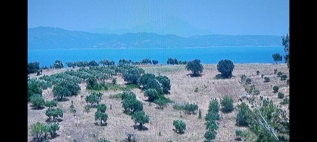 Land in Chalkidiki, Greece, 5 100 m² - picture 3