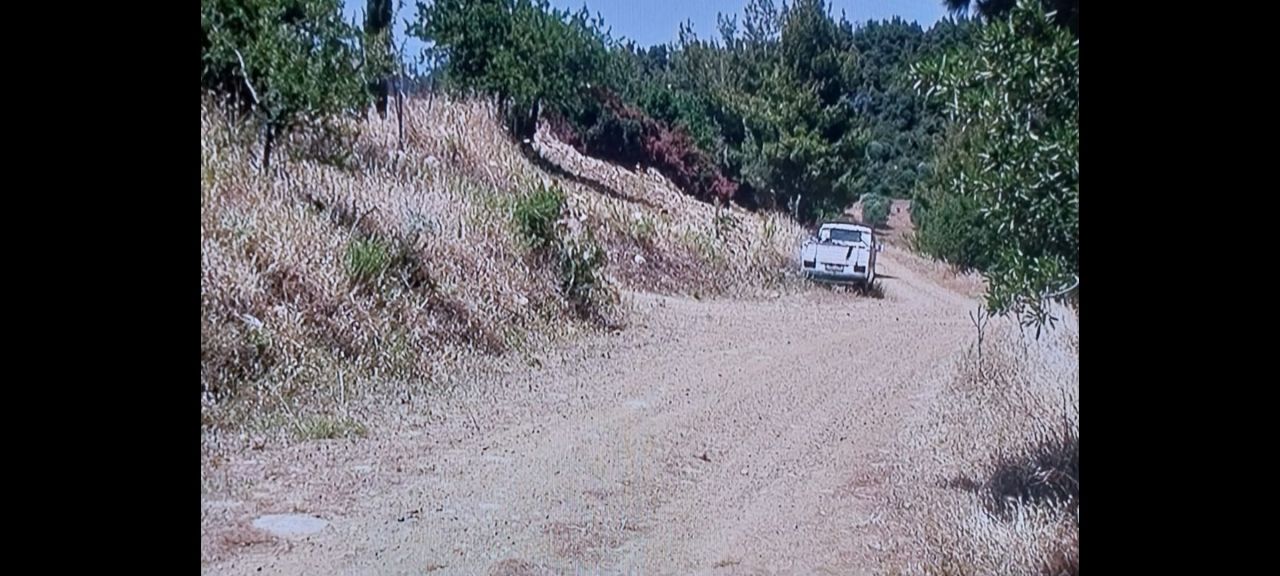 Land in Chalkidiki, Greece, 5 100 m² - picture 2