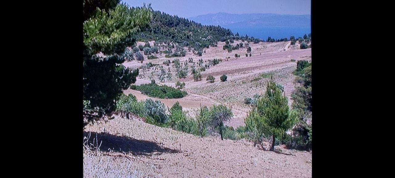 Land in Chalkidiki, Greece, 5 100 m² - picture 4