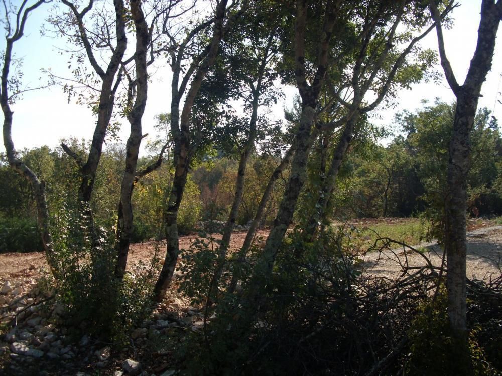 Villa on Krk, Croatia, 400 m² - picture 8