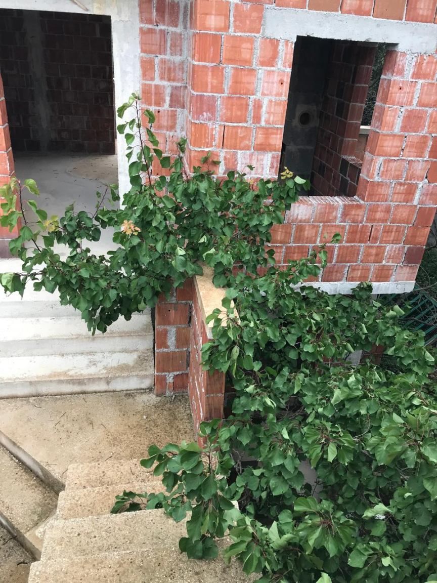 Villa à Mirista, Monténégro, 200 m² - image 5