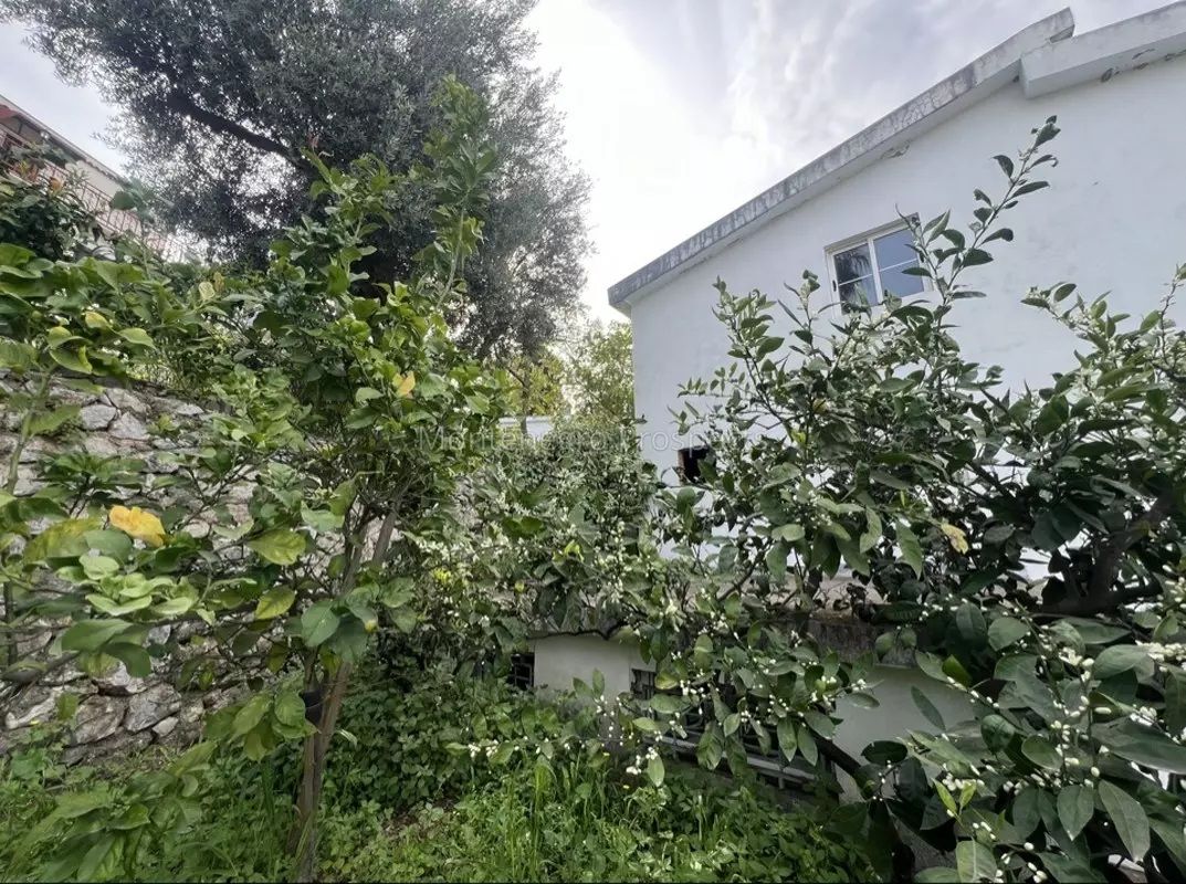 Maison à Dobra Voda, Monténégro, 195 m² - image 3