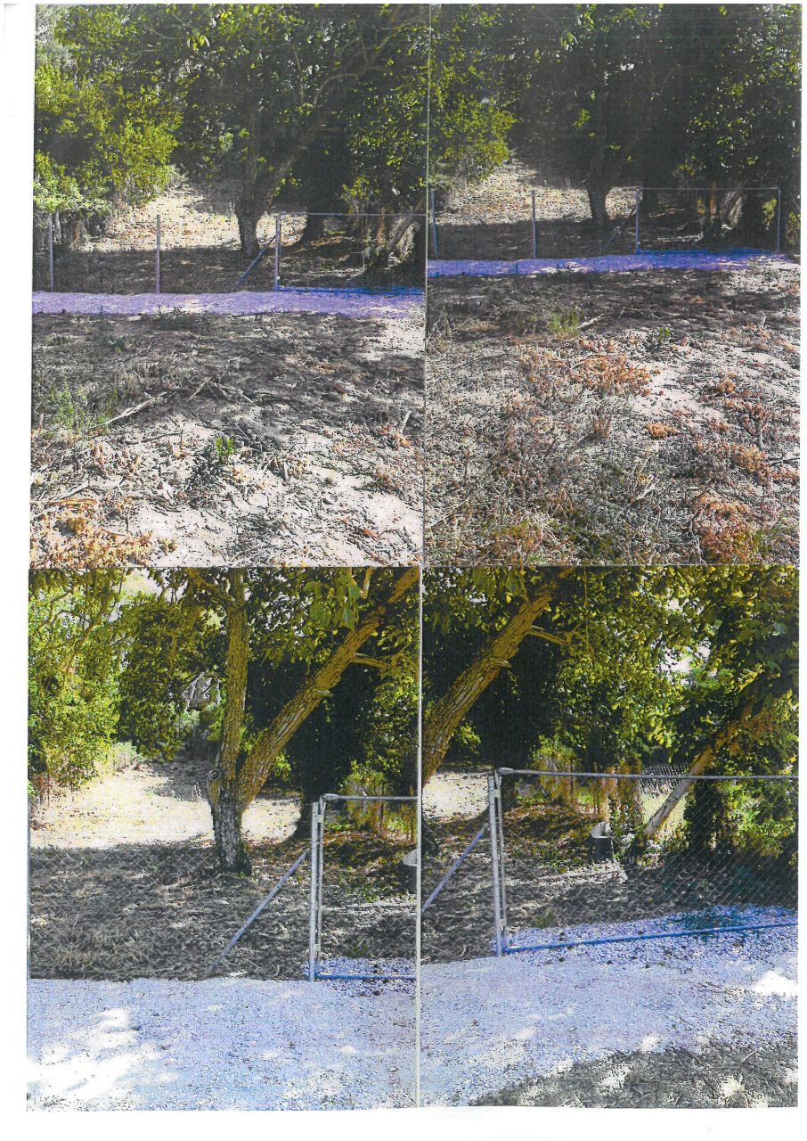 Land in Chalkidiki, Greece - picture 1