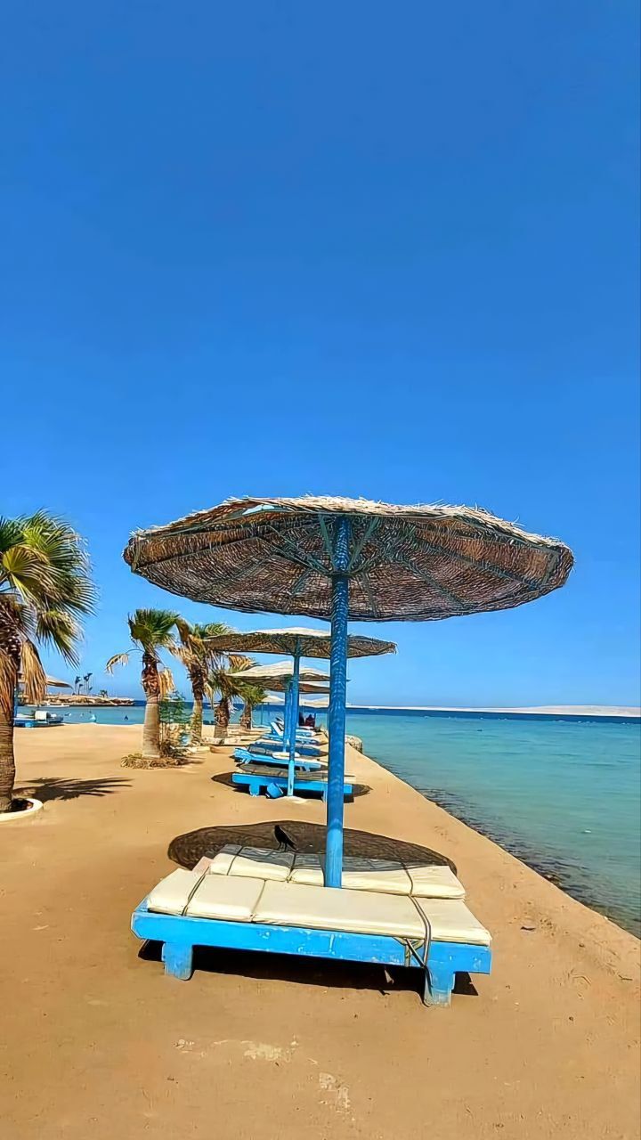 Studio in Hurghada, Egypt, 46 m² - picture 2