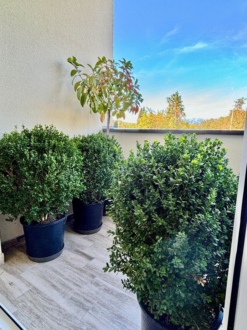 Appartement à Radanovici, Monténégro, 45 m² - image 8