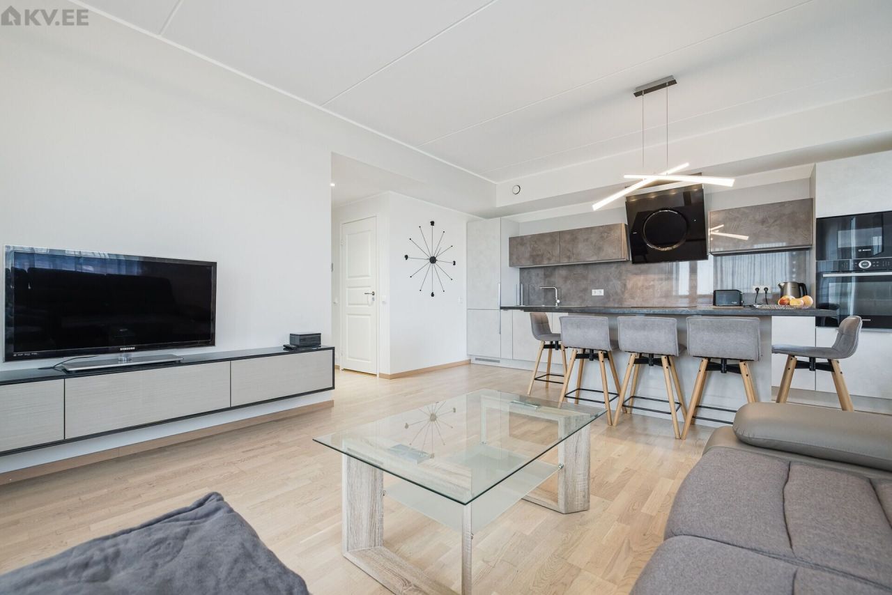 Flat in Tallinn, Estonia, 50 m² - picture 1