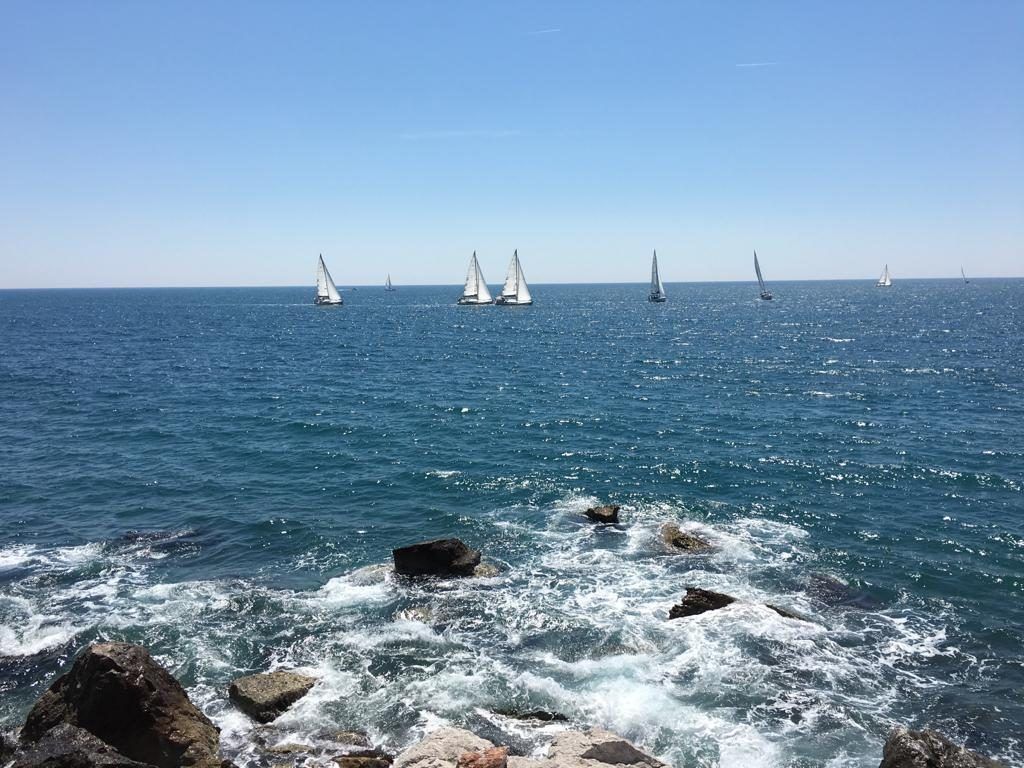 Land in Bar, Montenegro, 2 650 m² - picture 2