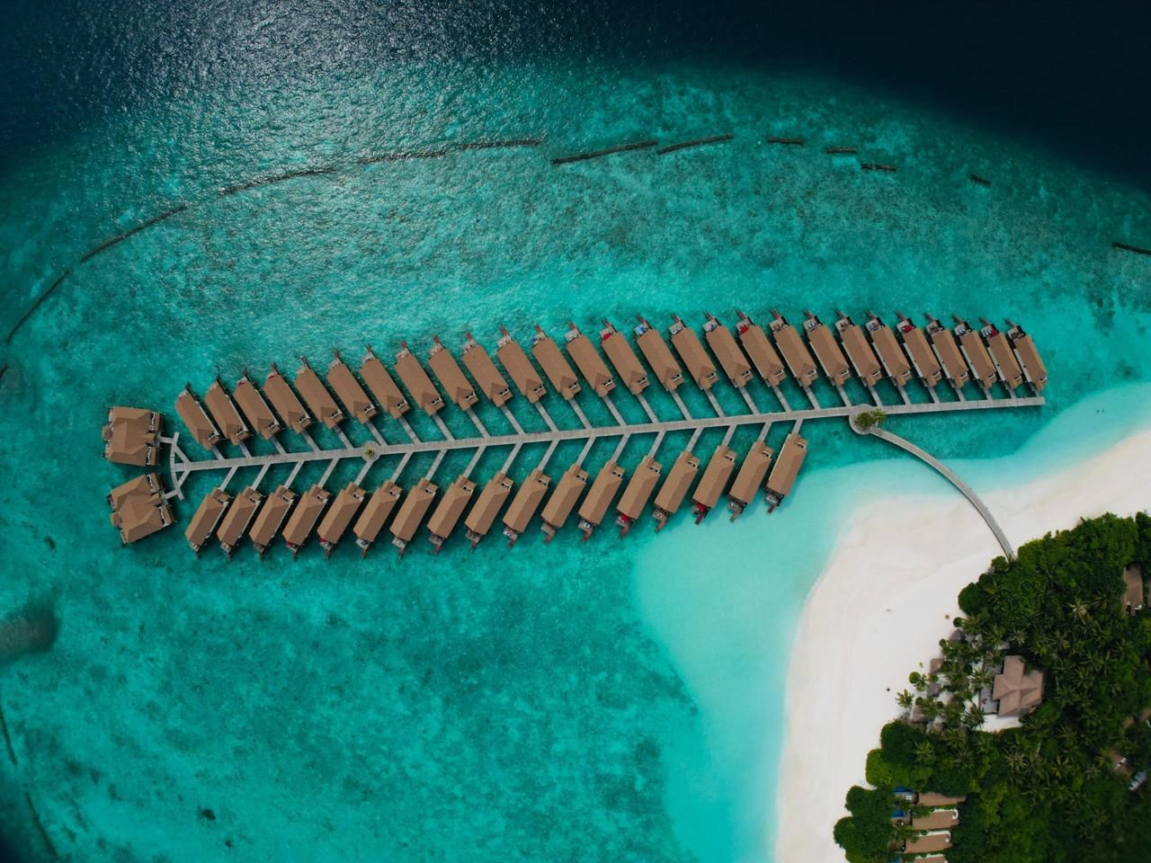 Hotel Atoll, Maldives, 700 m² - picture 1