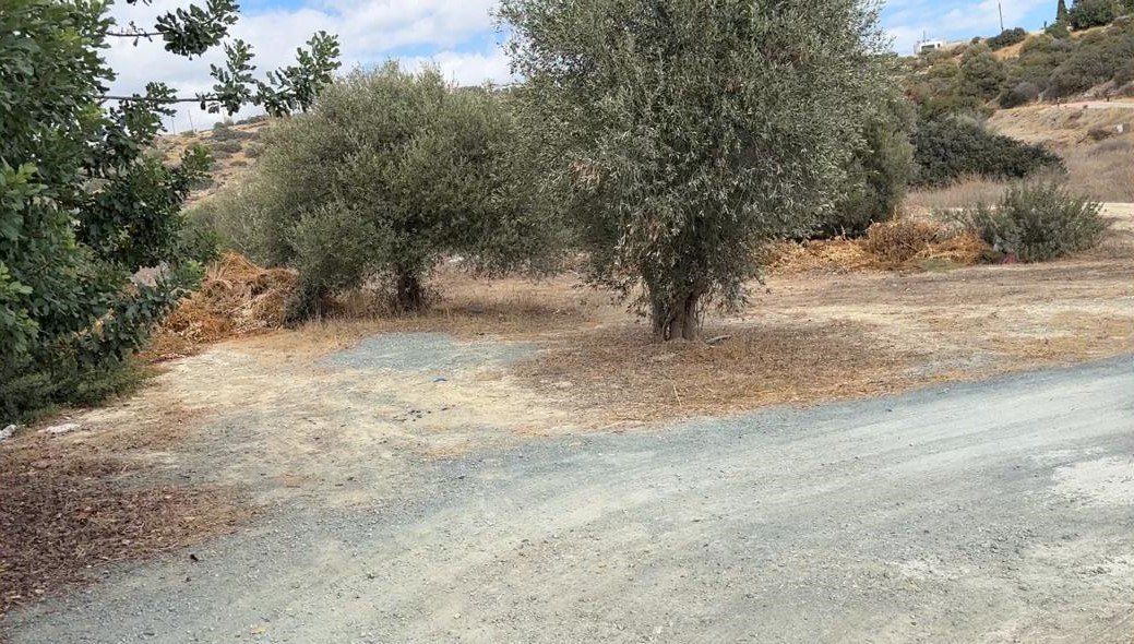 Land in Germasogeia, Cyprus, 9 622 m² - picture 1