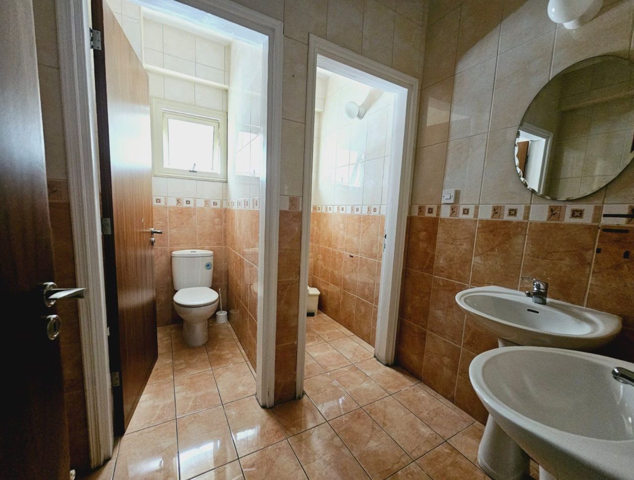 Office in Limassol, Cyprus - picture 2