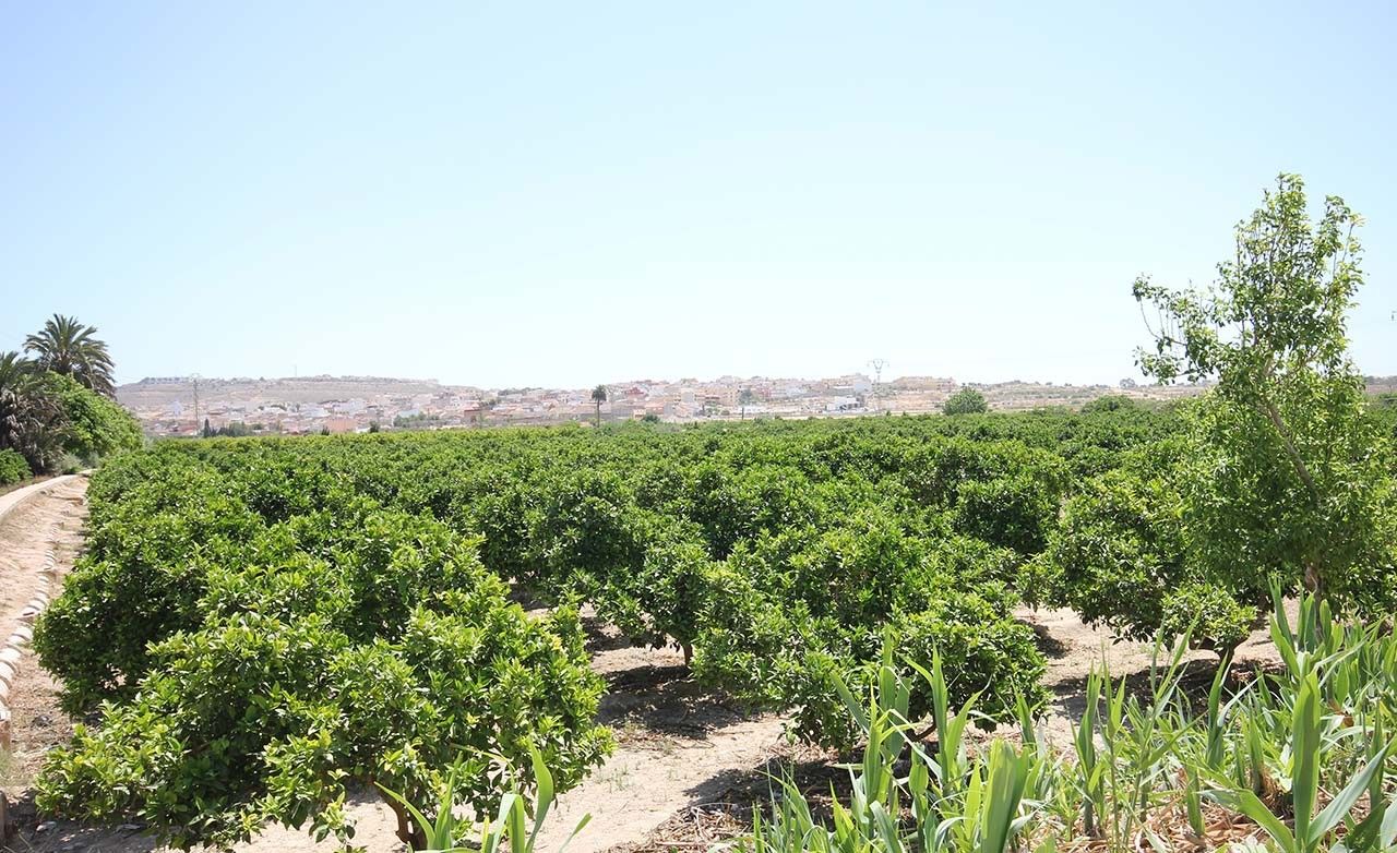 Apartamento en Benijófar, España, 62 m² - imagen 17