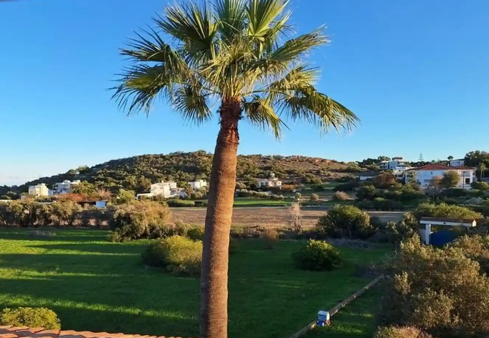 House in Famagusta, Cyprus, 357 m² - picture 2