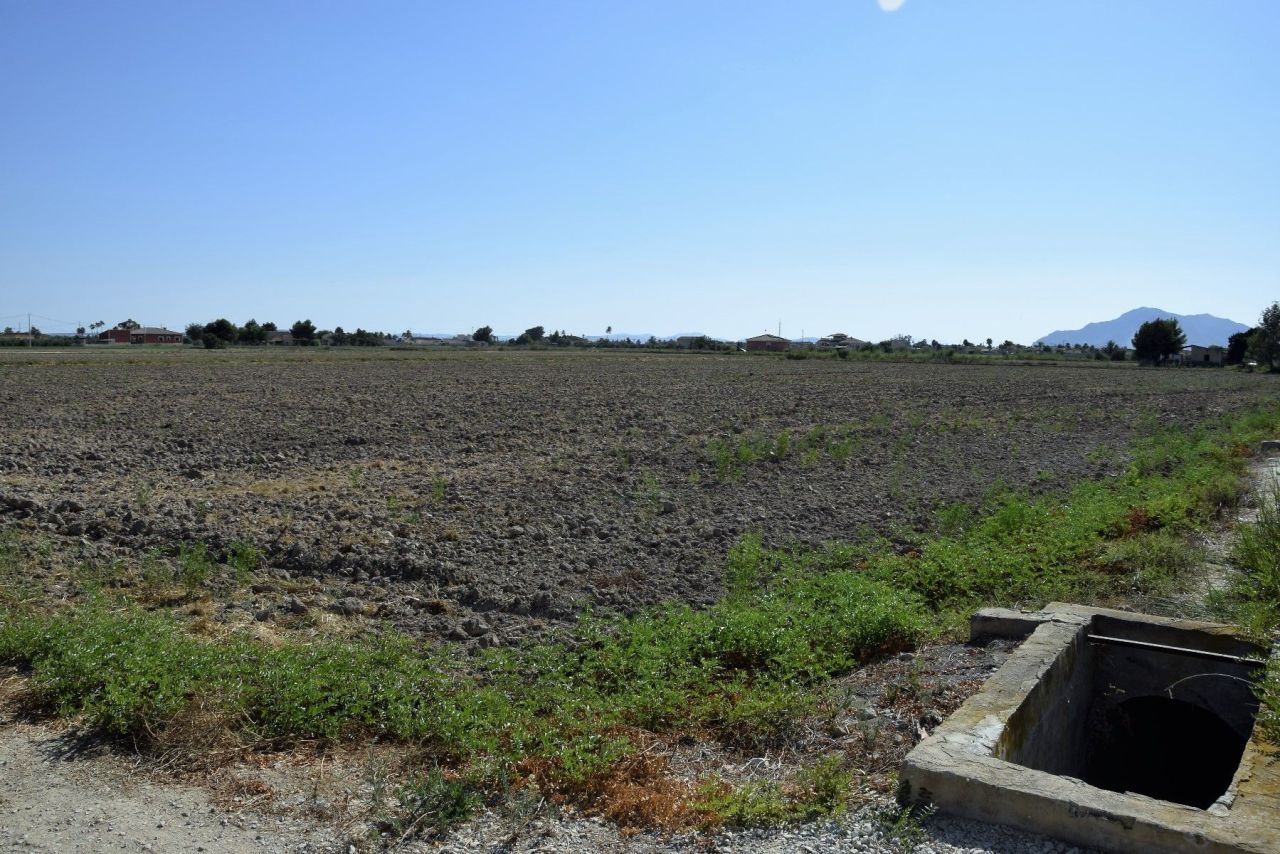 Land in Catral, Spain, 89 440 m² - picture 1