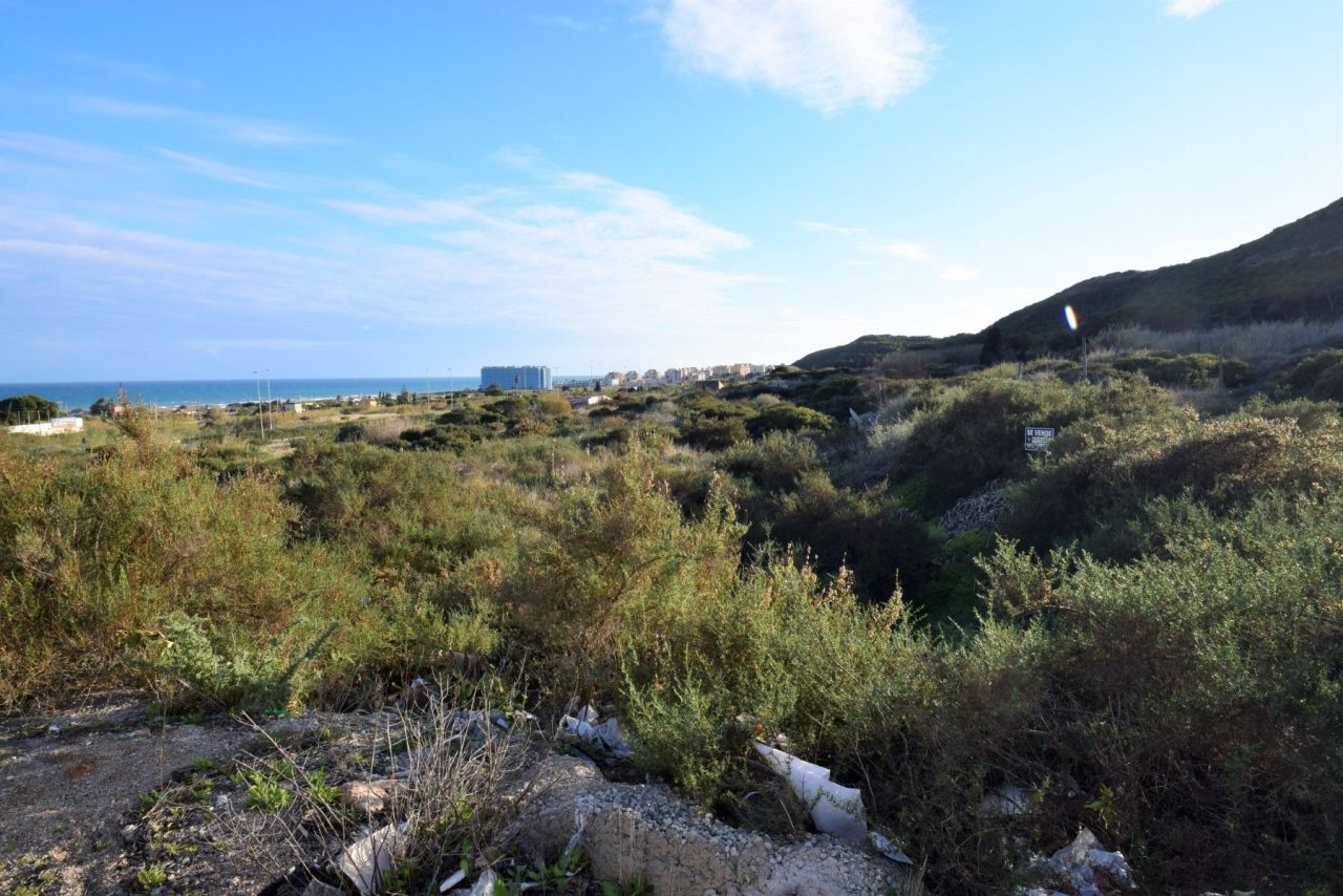 Land in Guardamar del Segura, Spain, 3 500 m² - picture 1