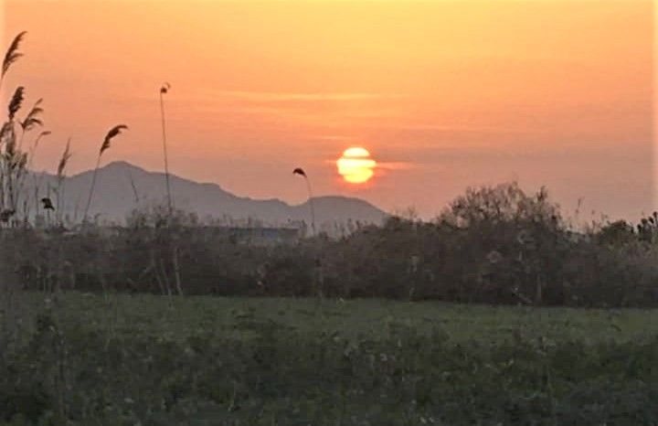 Terreno Crevillente, España, 19 019 m² - imagen 2