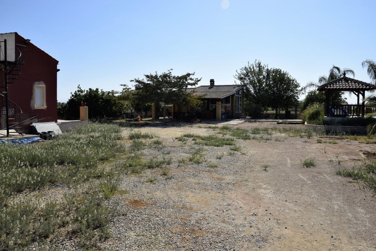 Terreno a Catral, Spagna, 89 440 m2 - foto 4