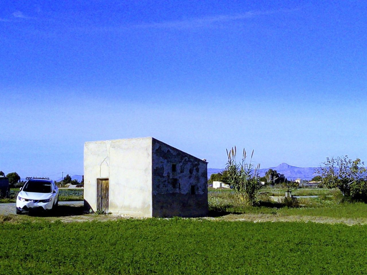 Land in Dolores, Spain, 4 259 m² - picture 4