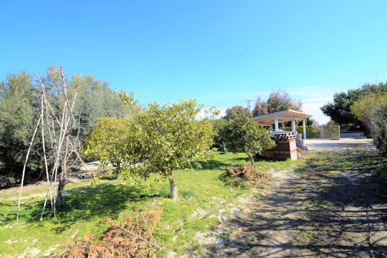 House in Guardamar del Segura, Spain, 90 m² - picture 8