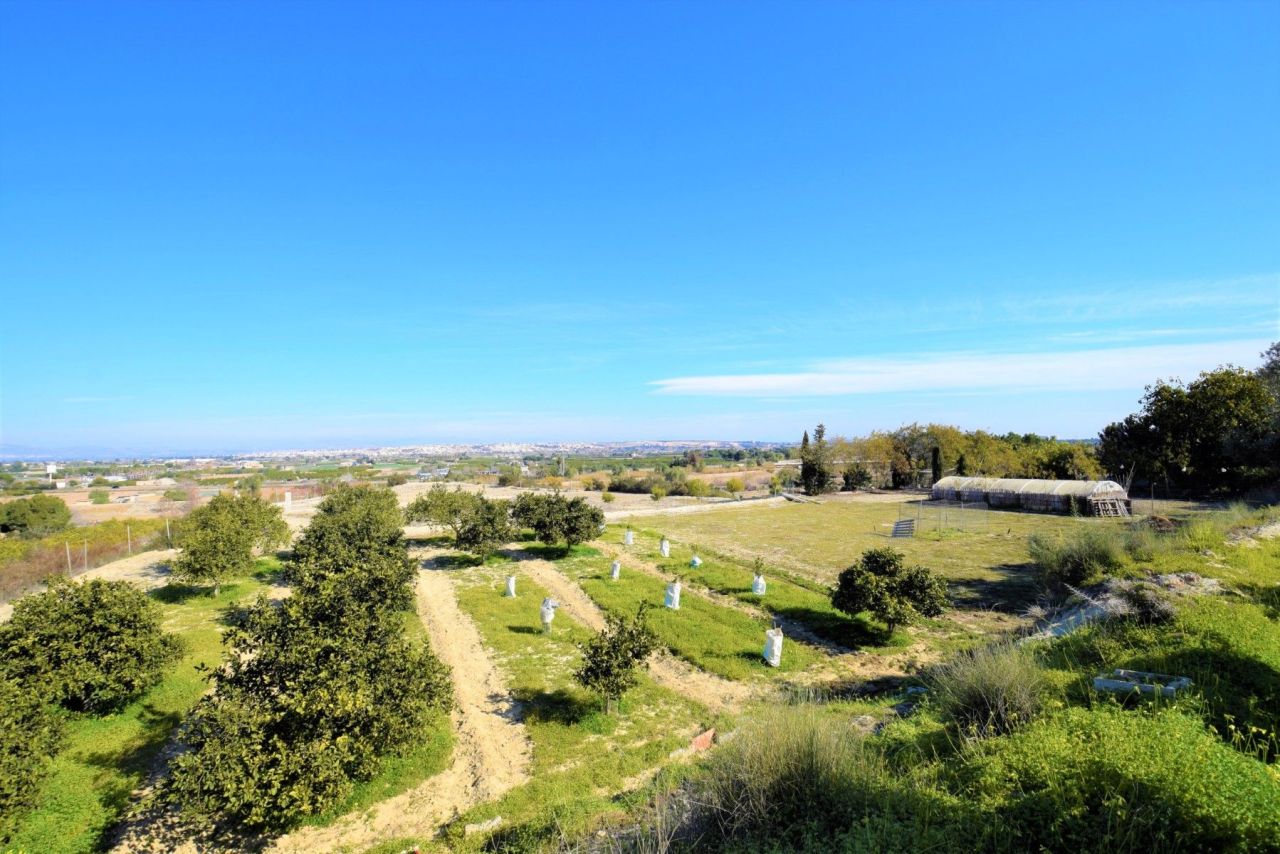 House in Guardamar del Segura, Spain, 90 m² - picture 10