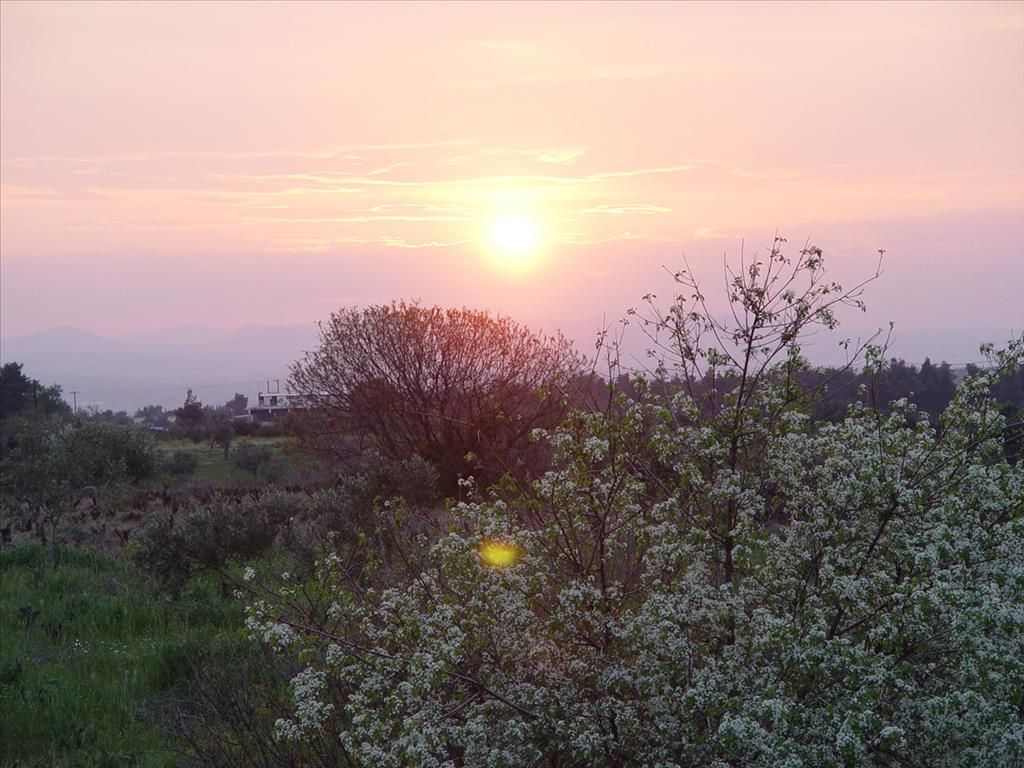 Terreno en Agios Stefanos, Grecia, 25 000 m² - imagen 1