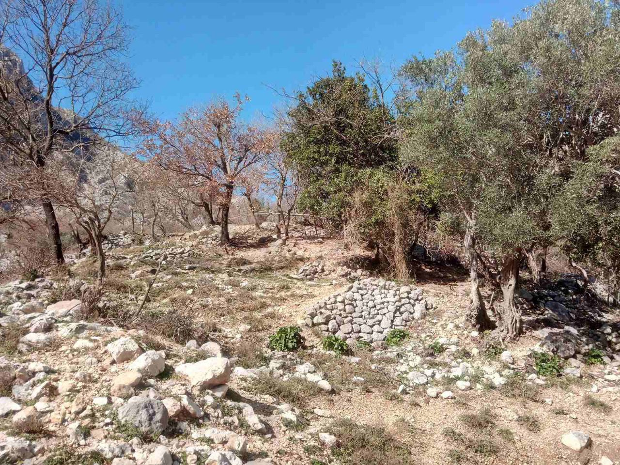 Grundstück in Orahovac, Montenegro, 9 600 m² - Foto 3