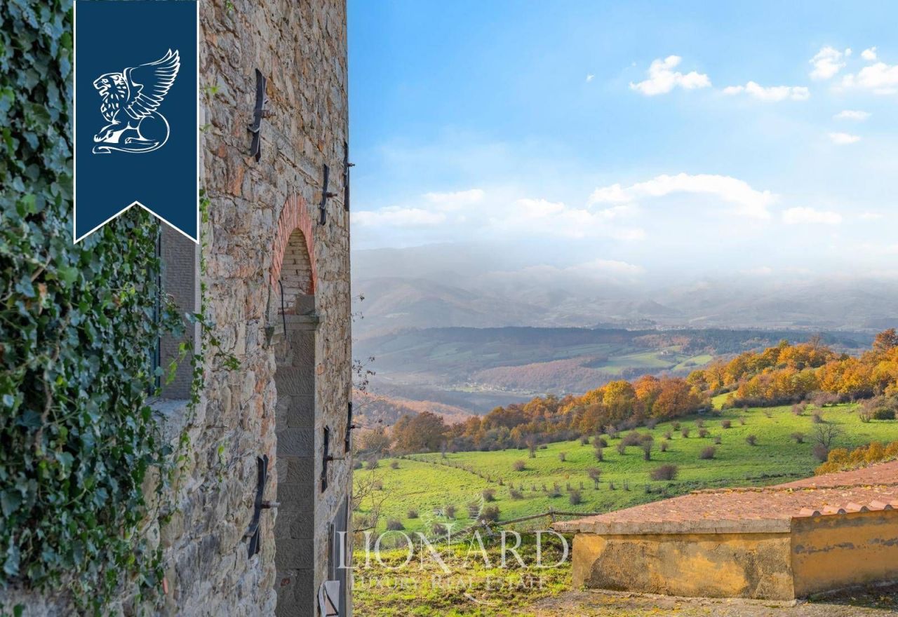 Farm in Bibbiena, Italien, 5 850 m² - Foto 9