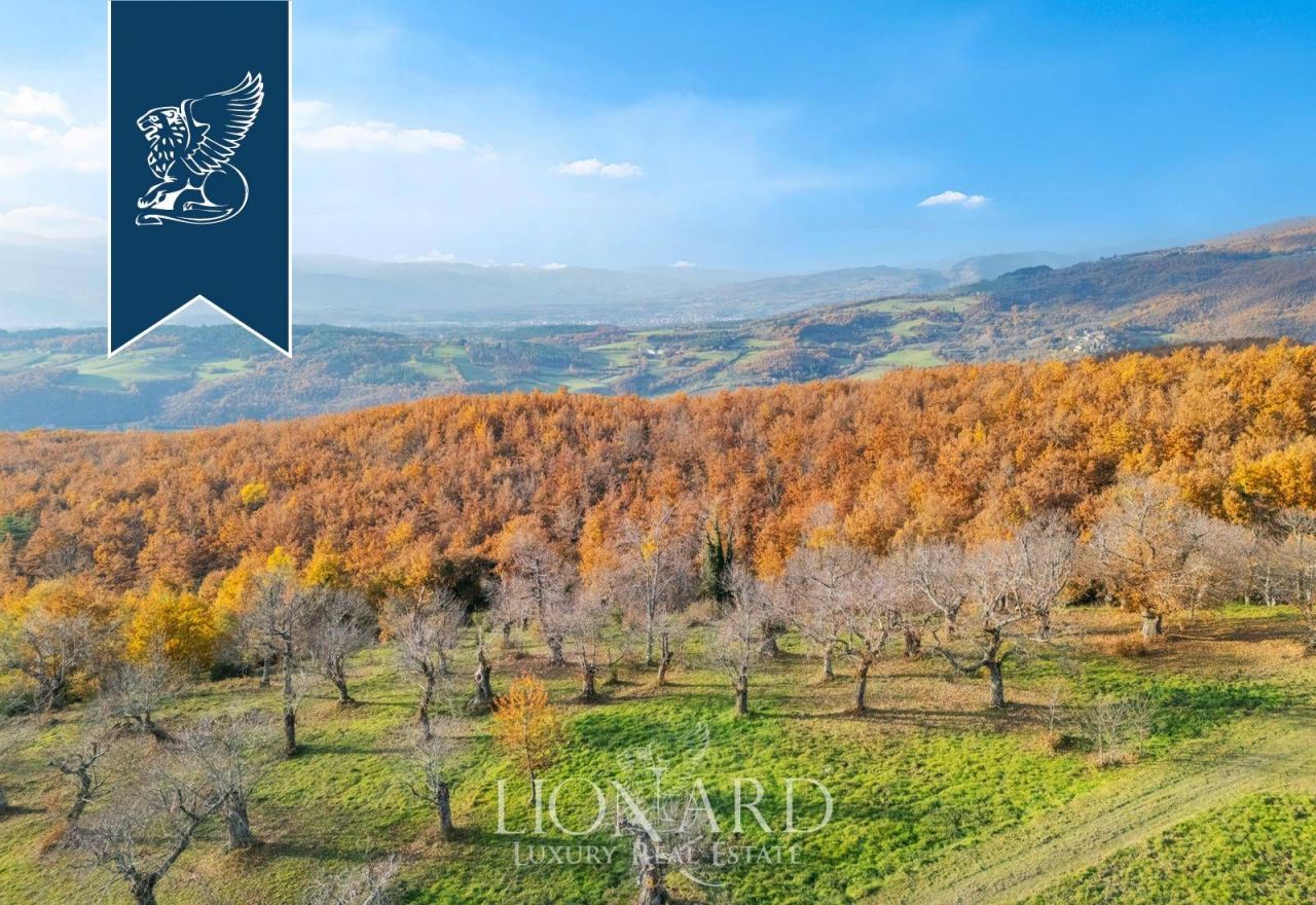 Farm in Bibbiena, Italien, 5 850 m² - Foto 10