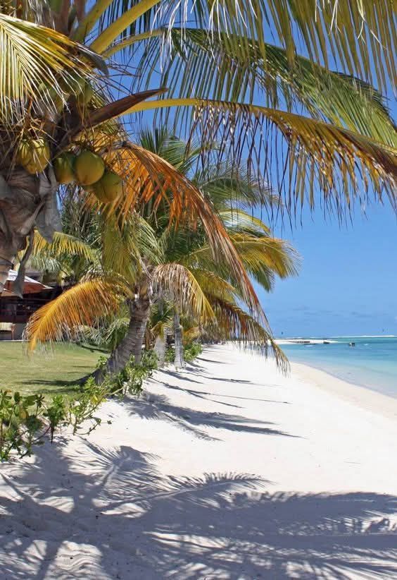 Hotel in La Plas Belgat, Mauritius, 11 000 m² - Foto 4