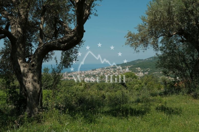 Land in Bar, Montenegro, 8 700 m² - picture 1