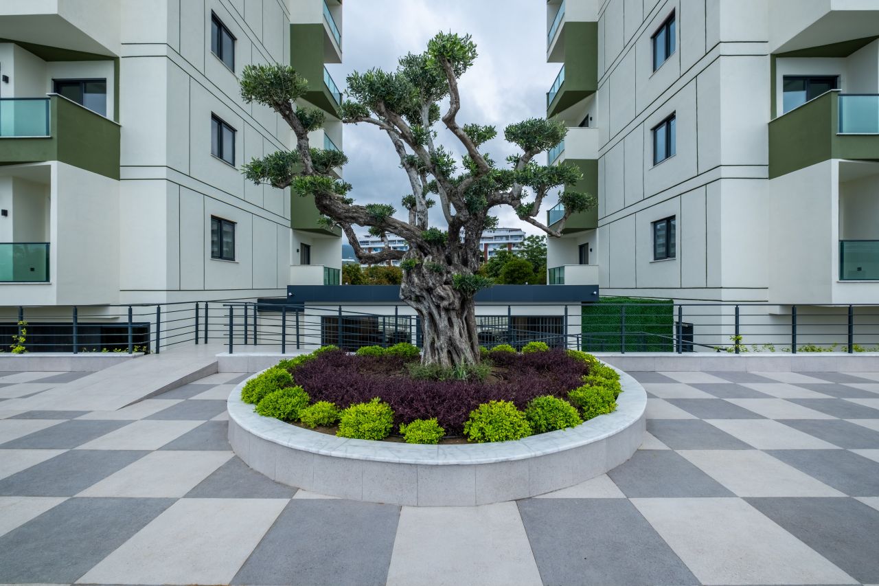 Appartamento a Alanya, Turchia, 50 m² - foto 9