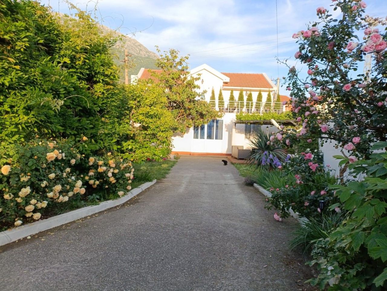 House in Bar, Montenegro, 160 m² - picture 1