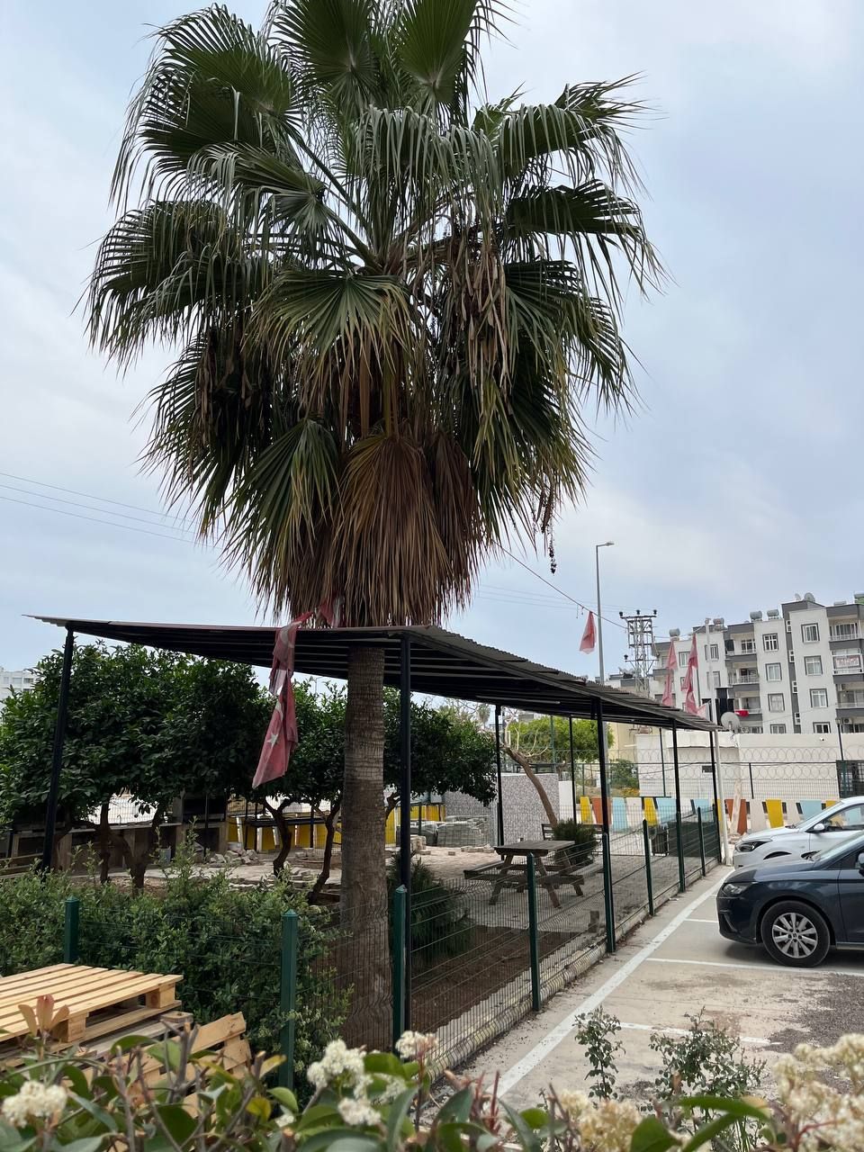 Flat in Mersin, Turkey, 60 m² - picture 13