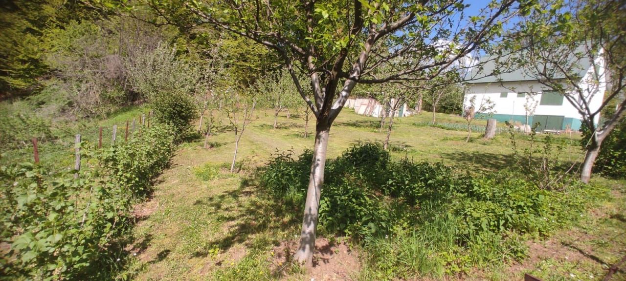 House in Kolasin, Montenegro, 110 m² - picture 10