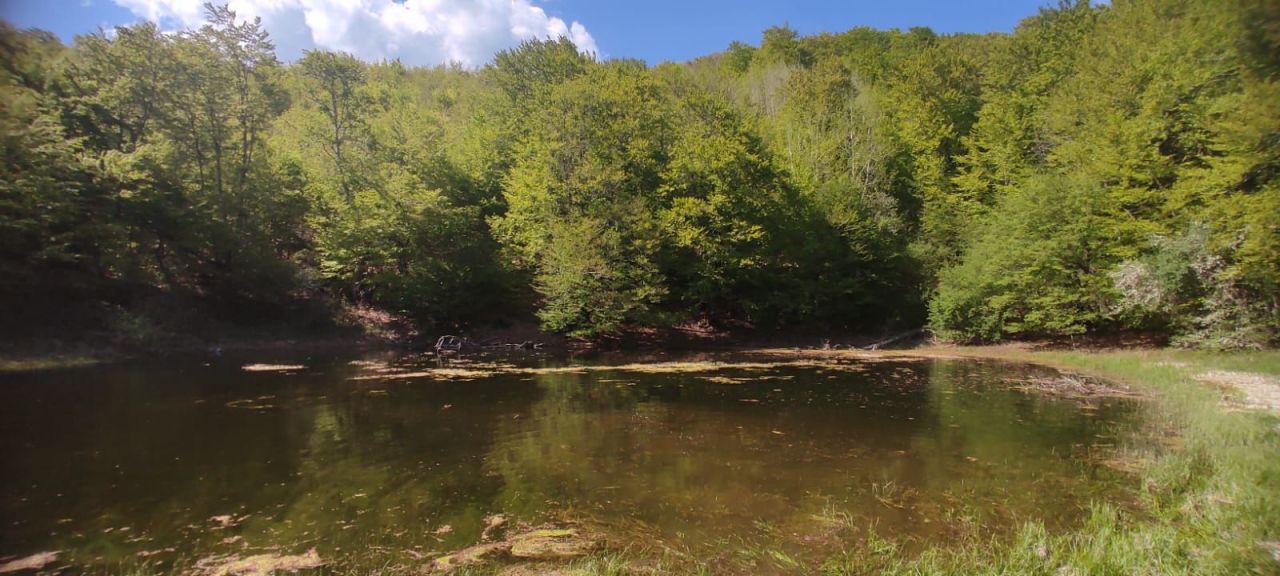 House in Kolasin, Montenegro, 110 m² - picture 14