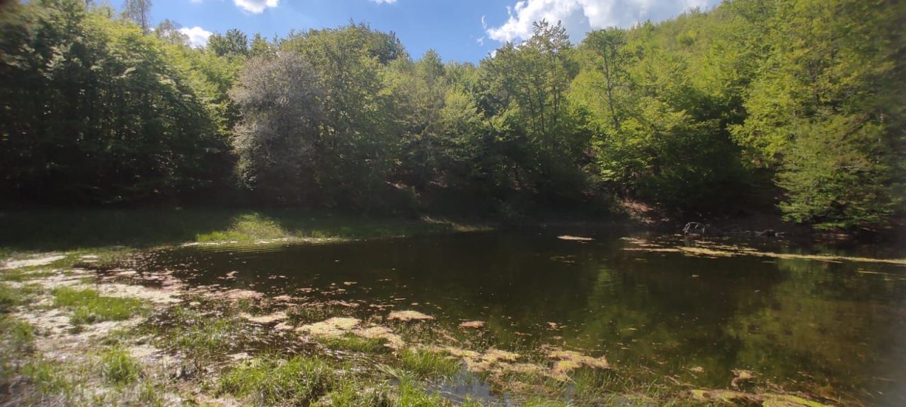 House in Kolasin, Montenegro, 110 m² - picture 13