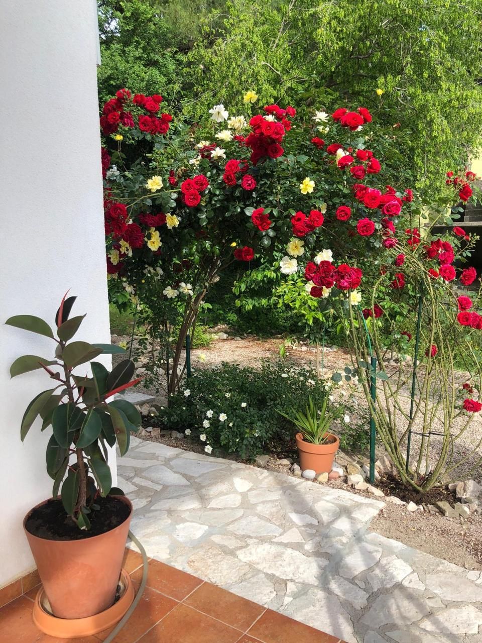 Casa a Susanj, Montenegro, 220 m² - foto 3