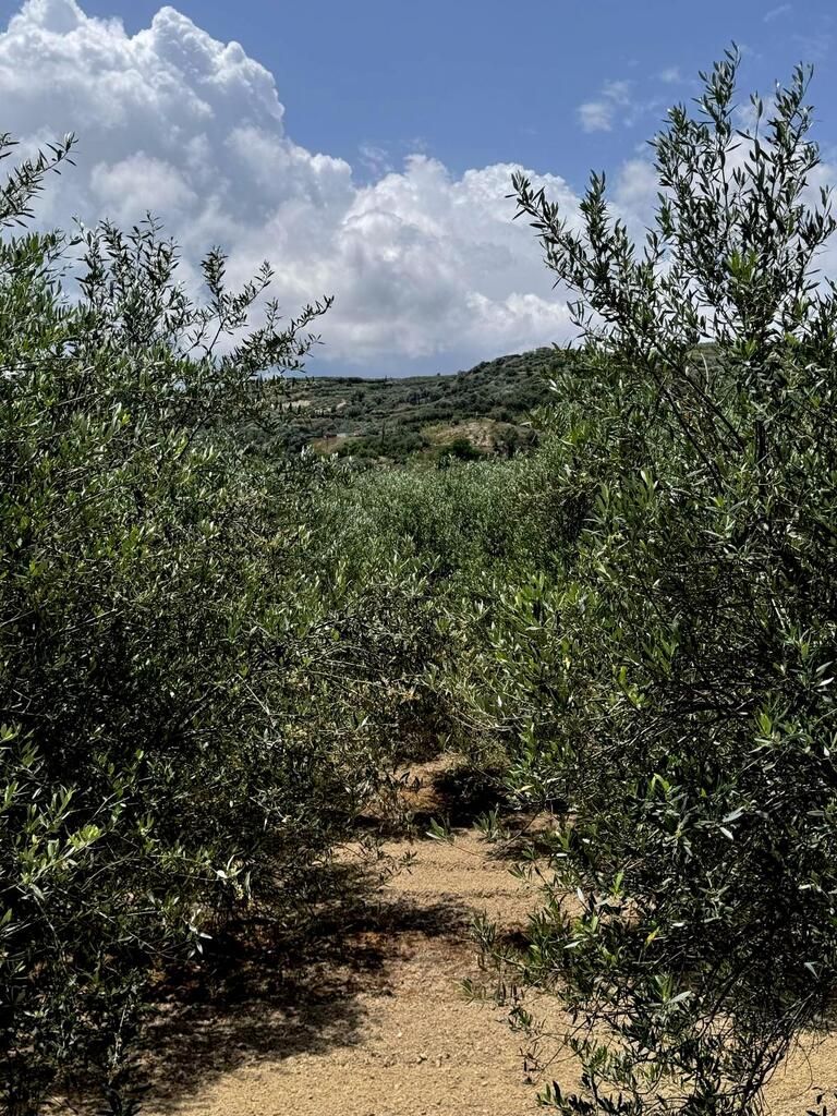 Casa en Heraclión, Grecia, 105 m² - imagen 11