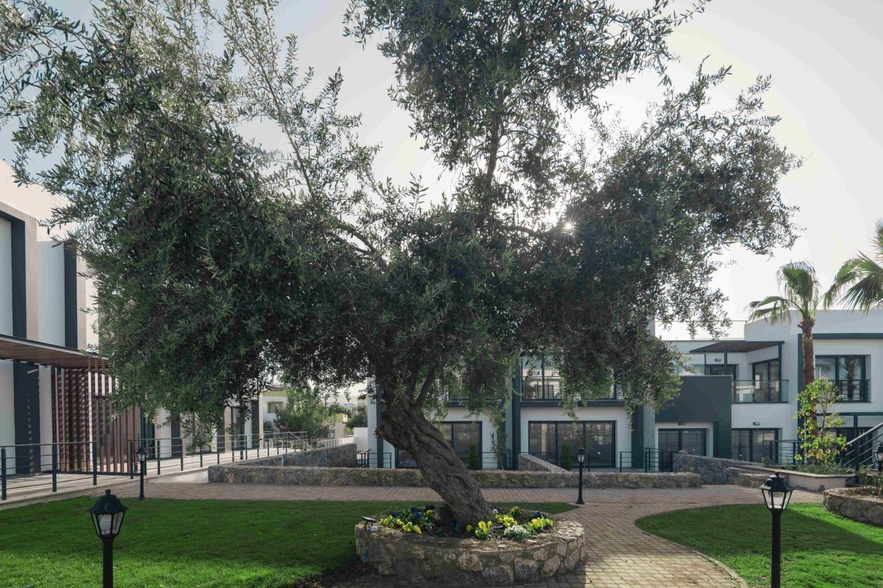 Apartment in Kyrenia, Zypern, 88 m² - Foto 19