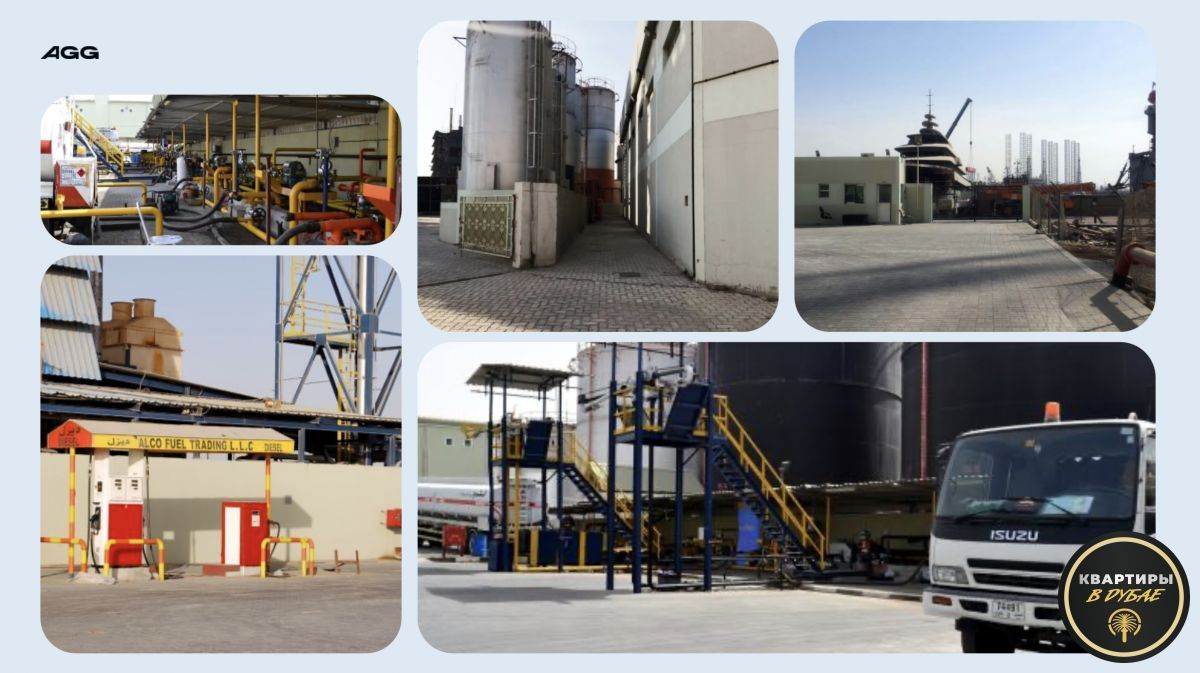 Commercial property in Dubai, UAE, 20 000 m² - picture 4